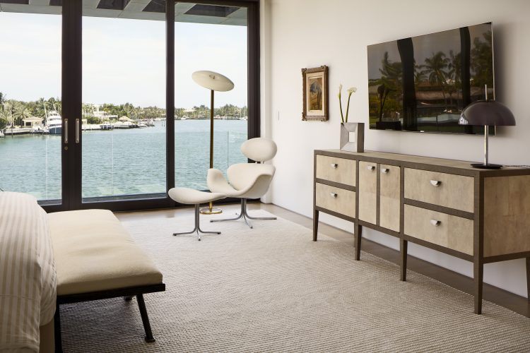 shagreen-cabinet-in-situ